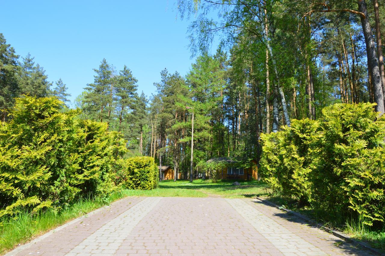 O.W.Bingo Bieszkowice Exterior foto